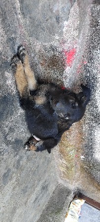 થંબનેલ 2