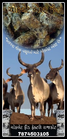 થંબનેલ 5