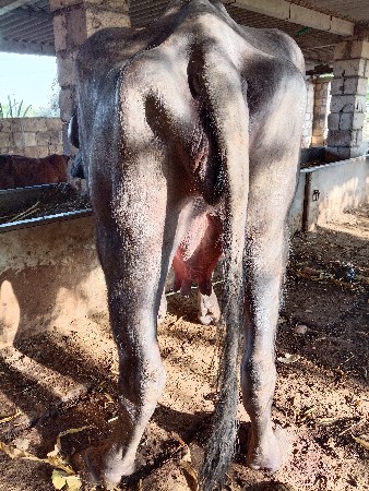 थंबनेल 2