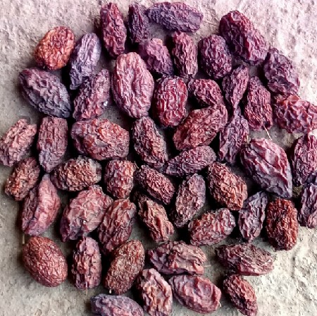 સુકવણી કરેલા બોર જસદણ તા કાળાસર