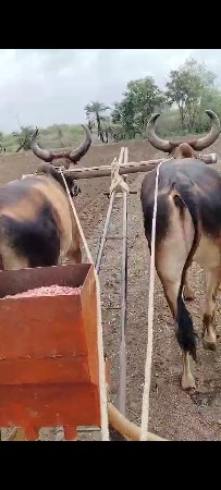 ગોધલા ૨ધર