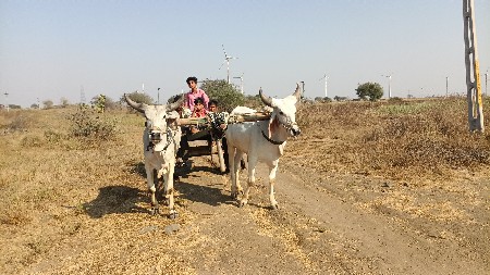 थंबनेल 3