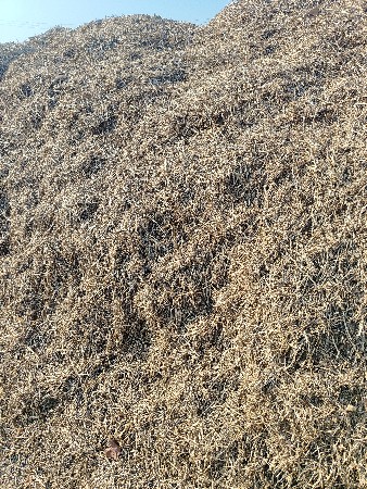 માડવિનો ભુકો વેચવા નો છે