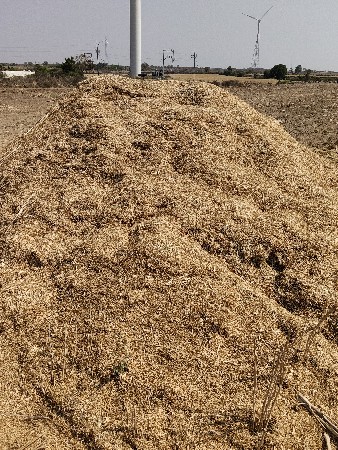 રાય નો ભૂકો વેચવાનો છે 🌱