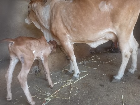 थंबनेल 3