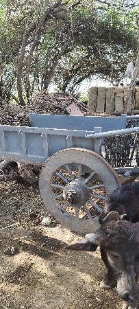 બળદ ગાડું લોખંડ નું