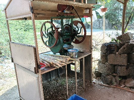 શેરડી રસ શિશોડો