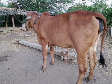 थंबनेल 2