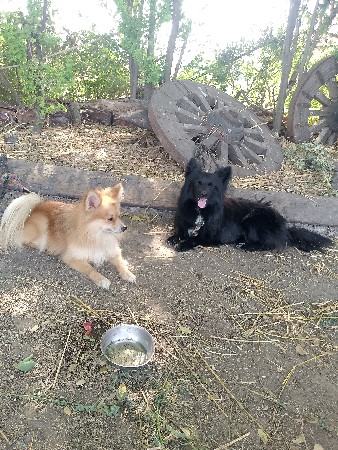 મીટીંગ.માટે.સે.વેસવાનો.નથ