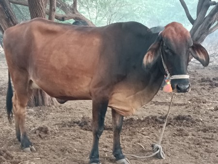 थंबनेल 2