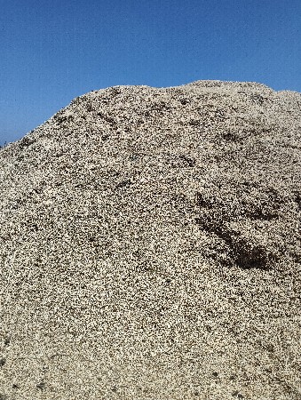 ચણા નો ભૂકો