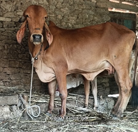 थंबनेल 5