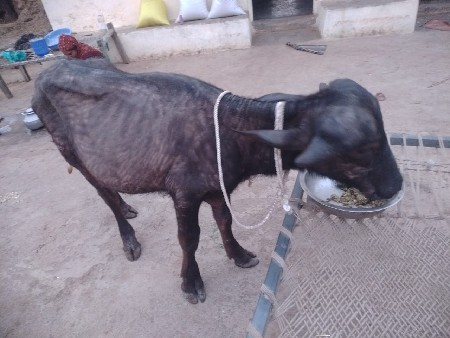 थंबनेल 3