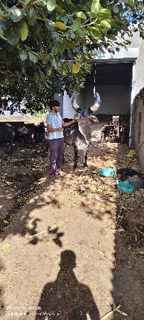 थंबनेल 2