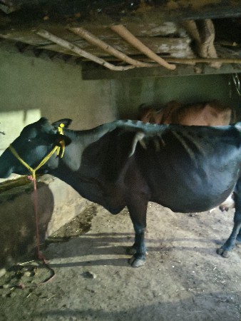 થંબનેલ 3