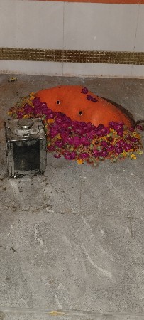 જમીન વેચવાની છે