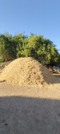 ખારિયું વેચવાનું છે.