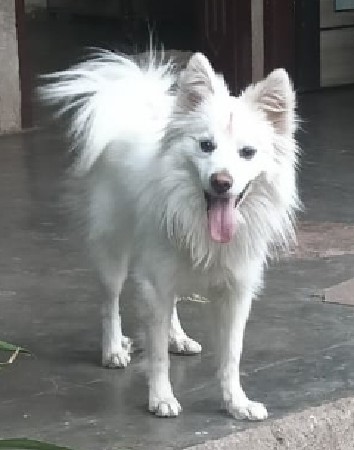 ખાલી મીટીંગ માટે