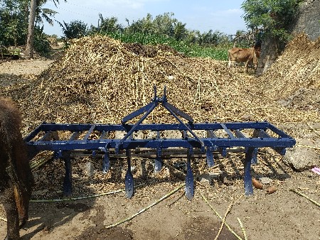 થંબનેલ 3