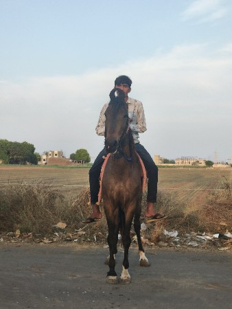 થંબનેલ 2