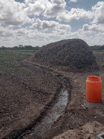 માંડવીયા નો ભૂકો વેચવાનો છે