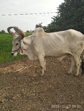 थंबनेल 3