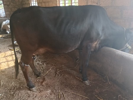 थंबनेल 2