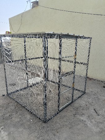 થંબનેલ 3