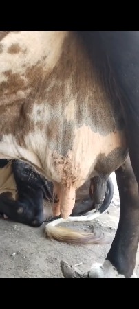 ગળકોટડી બાબરા અમરેલી