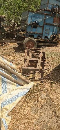 દાતી ને ટોલી વેસવા ની સે