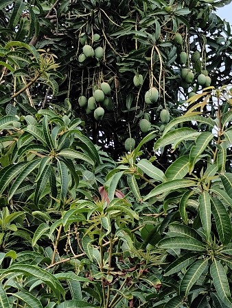 થંબનેલ 3