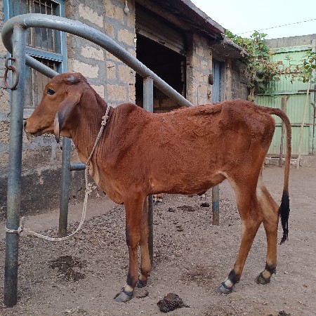 थंबनेल 2