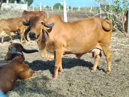 थंबनेल 3