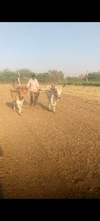 25000 રૂપિયા બધી જવાબદારી થી આપવ