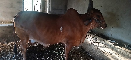 थंबनेल 2