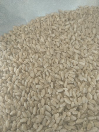 ઘઉં વેચવાના છે 452 ટુકડી