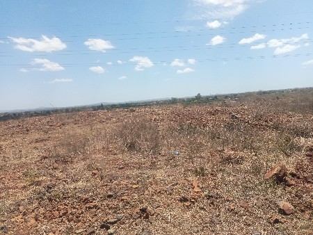 ખેતીની જમીન વેચવાની છે