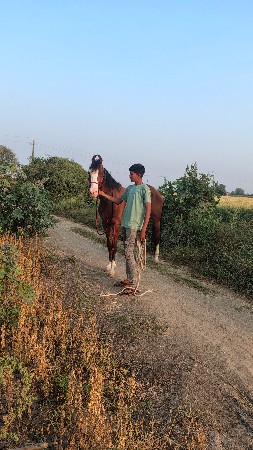 થંબનેલ 2