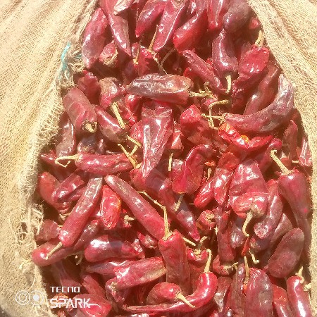 રેશમ પટો દેશી મરચું