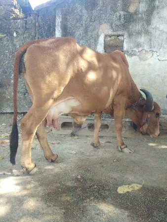 थंबनेल 2