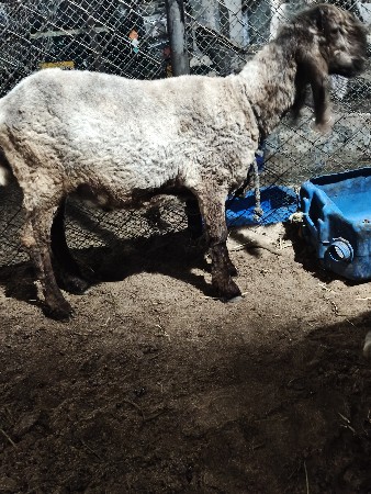 थंबनेल 2