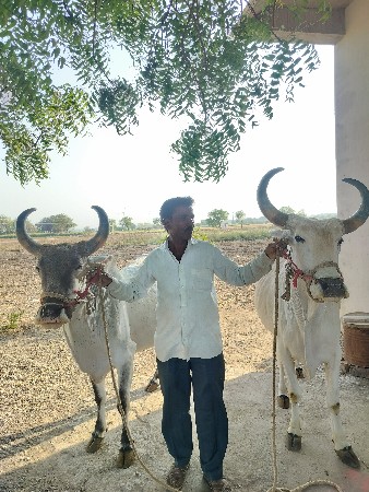 थंबनेल 3