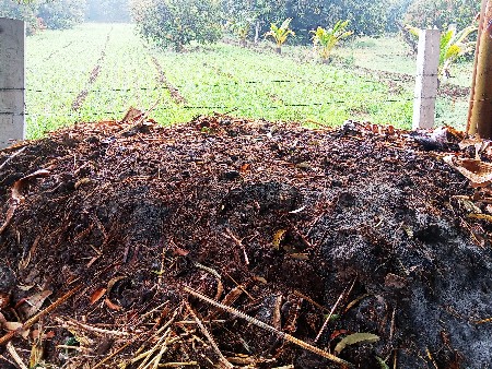 ગાય નું ખાતર વેચવાનુ છે