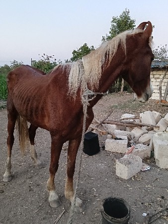 થંબનેલ 2