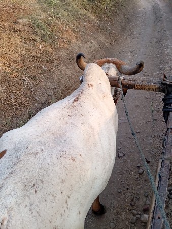 थंबनेल 2