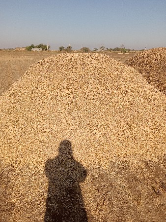 थंबनेल 2