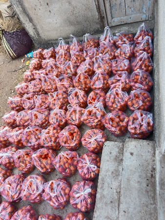 થંબનેલ 2