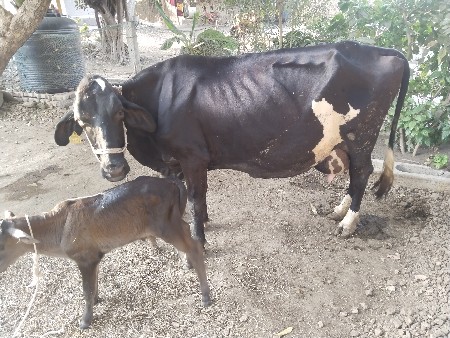 थंबनेल 2