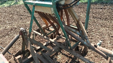 આ ઓરણી વેસવાની છે