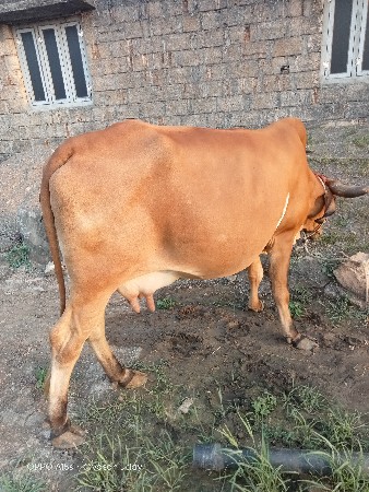 थंबनेल 2